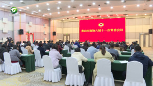 市政协召开八届十一次常委会议