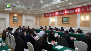 市人大代表分组审议三个报告