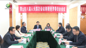 市八届人大四次会议财政经济委员会举行第二次会议
