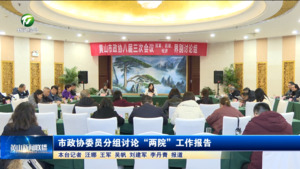 市政协委员分组讨论“两院”工作报告