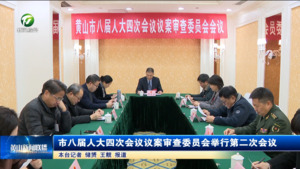 市八届人大四次会议议案审查委员会举行第二次会议