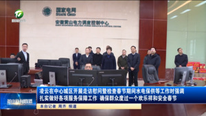 凌云在中心城区开展走访慰问暨检查春节期间水电保供等工作时强调 扎实做好各项服务保障工作 确保群众度过一个欢乐祥和安全春节