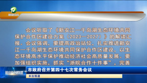 市政府召开第四十七次常务会议