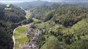 休宁县溪口镇：发展特色产业 助力农业增效农民增收