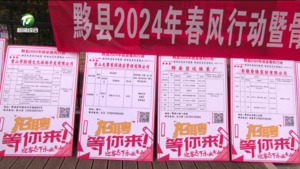 简讯：春节假期黟县首场招聘会迎来求职潮