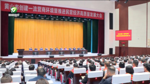 凌云在创建一流营商环境暨推进民营经济高质量发展大会上强调 持续优化营商环境推进民营经济高质量发展 为大黄山建设增添强劲动能何毅主持 肖善武 路海燕 张明出席