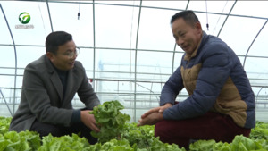 屯溪区：全力应对低温寒潮 确保菜篮子供应