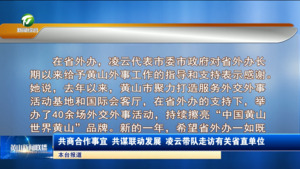 共商合作事宜 共谋联动发展 凌云带队走访有关省直单位