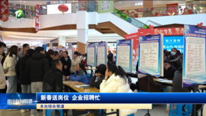 新春送岗位 企业招聘忙