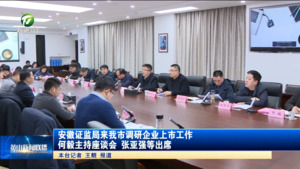 安徽证监局来我市调研企业上市工作 何毅主持座谈会 张亚强等出席