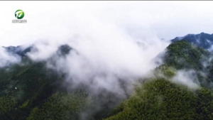 李发权：守护绿水青山 发展绿色经济