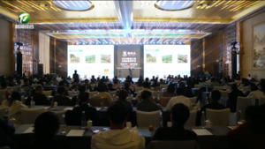 谢裕大2024春茶大会暨全国经销商年会举行  江卓琪出席