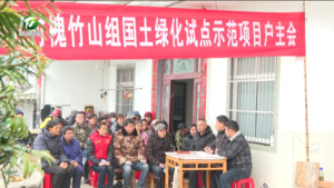 点亮国土绿化 建设绿美江淮