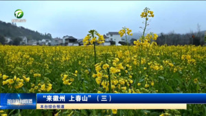 “来徽州 上春山”(三)