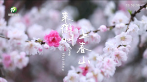 “来徽州 上春山”（四）
