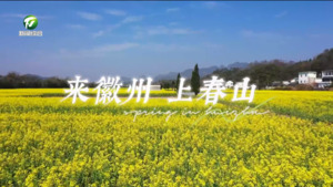 “来徽州 上春山”（六）