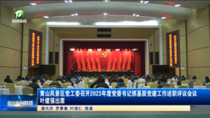 黄山风景区党工委召开2023年度党委书记抓基层党建工作述职评议会议 叶建强出席