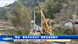 简讯：黟县：春茶未采电先行 增容改造促振兴