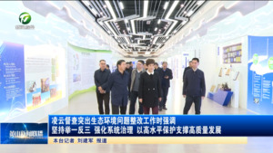 凌云督查突出生态环境问题整改工作时强调 坚持举一反三 强化系统治理 以高水平保护支撑高质量发展