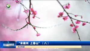 “来徽州 上春山”（八）
