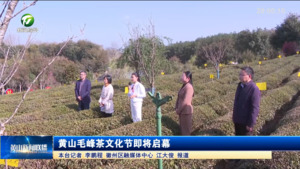 黄山毛峰茶文化节即将启幕