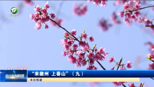“来徽州 上春山”（九）