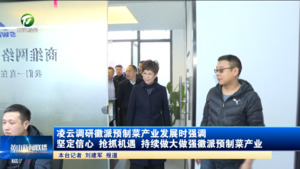 凌云调研徽派预制菜产业发展时强调 坚定信心 抢抓机遇 持续做大做强徽派预制菜产业
