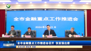 全市金融重点工作推进会召开 张亚强出席