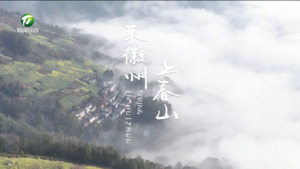 “来徽州 上春山”（12）