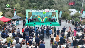名茶之都 绿色发展 第十六届黄山毛峰茶文化节暨安徽春茶直播节启幕   凌云 张伟 张亚强等参加活动