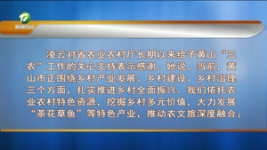 【字幕】推动黄山乡村全面振兴走在前当表率 凌云带队拜访省农业农村厅  江卓琪参加