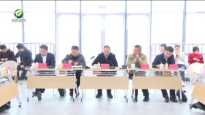 全市“千村引领、万村升级”工程调度推进会召开  张明讲话