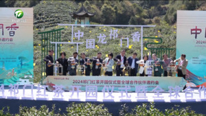 “中国龙•祁门香” 2024祁门红茶开园仪式暨全球合作伙伴邀约会举行   江卓琪等出席