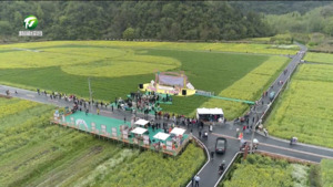 春风五千里 花开状元城 2024中国黄山“来徽州 上春山”摄影旅游季暨第二届“湖光山色 状元休宁”摄影展启幕  凌云等出席
