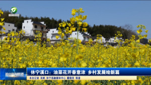 休宁溪口：油菜花开春意浓 乡村发展绘新篇