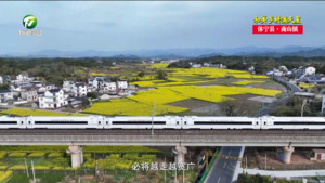 【和美乡村满天星——乡镇党委书记话振兴】王靖：文化赋能 深耕农文旅 建设宜居宜业和美商山
