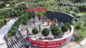【我们的节日·清明】我市各地广泛开展清明节主题活动