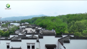 春日乡村风光美 尽享假日好时光