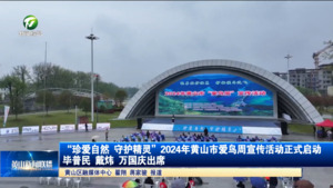 “珍爱自然 守护精灵”2024年黄山市爱鸟周宣传活动正式启动 毕普民 戴炜 万国庆出席