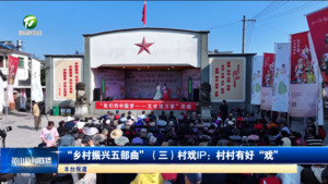 “乡村振兴五部曲”（三）村戏IP：村村有好“戏”