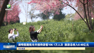 清明假期我市共接待游客106.1万人次 旅游总收入6.46亿元