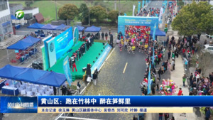 黄山区：跑在竹林中 醉在笋鲜里