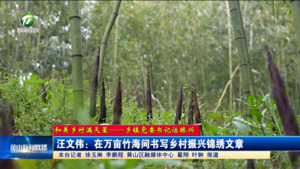 【和美乡村满天星——乡镇党委书记话振兴】汪文伟：在万亩竹海间书写乡村振兴锦绣文章