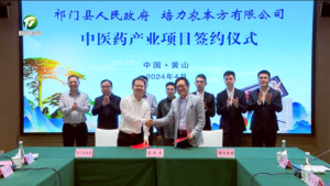 黄山市中医药产业项目投资协议签约仪式举行  何毅 王恒来等出席