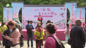 祁门县：古道赏美景品美食  畅享春日好时光
