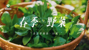 村碗里的大文章(4):同心协力谋发展 且以诗意共远方