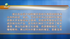 重庆市武隆区党政代表团来我市考察交流 凌云与何庆举行工作会谈 叶建强 张亚强 方颖等参加或陪同考察会谈