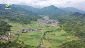 歙县：机械化水稻育秧 育出春耕“好苗头”