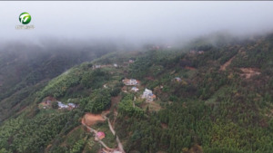 祁门县：激发内生动力 脱贫户成了致富带头人