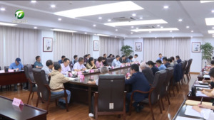 全市文化产业工作推进会召开 张亚强出席